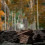 Dark brown natural stone yellowish background CB Picsart Editing Background Full HD