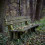 Deserted chair in old forest with dried and green leaf CB Picsart Editing Background Full HD
