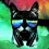 DJ Cat Wallpapers Full HD Backgrounds