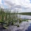 Everglades National Park HD Wallpapers Nature Wallpaper Full