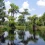 Everglades National Park HD Wallpapers Nature Wallpaper Full