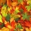 Fall HD Wallpapers Nature Wallpaper Full