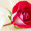 Happy Rose Day Wish Card Photo Greetings