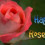Happy Rose Day Wish Status Pic for WhatsApp DP