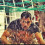 Mahendra Singh Dhoni (MSD) Photos Wallpapers Profile Picture HD