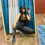 Anushka Sen HD Pics WhatsApp DP | Cute Girl Stars Wallpapers