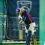 Cricketer Rohit Sharma HD Photos Wallpaper Pics
