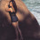Neha Sharma bikini Hot HD Pics WhatsApp DP celebrity 4k wallpaper