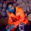 Emiway Bantai Rapper Pics Full HD Celebrity Background