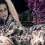 Kristen Jaymes Stewart Desktop Wallpapers Photos & Pictures HD Background