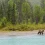 Lake Clark National Park And Preserve HD Wallpapers Nature Wallpaper Full