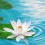 Lotus Flower HD Wallpapers Nature Wallpaper Full