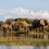 Lower Zambezi National Park HD Photos Nature Wallpaper Full