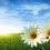 March Equinox HD Wallpapers Space Nature Wallpaper Full