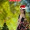 Merry Christmas Day Editing Background for Picsart Full HD 