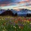 Mount Rainier National Park HD Wallpapers