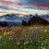 Mount Rainier National Park HD Wallpapers Nature Wallpaper Full