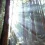 Muir Woods National Monument HD Wallpapers Nature Wallpaper Full