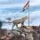 15 August editing Background Tiranga Flag- Picsart Happy Independence Day India Virat
