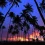 Palm Trees HD Wallpapers Nature Wallpaper Full