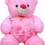 Pink Teddy Bear PNG Image   Transparent Cute