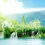 Plitvice Lakes National Park HD Wallpapers Nature Wallpaper Full