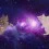 Purple Cat Wallpapers Full HD 4k Background
