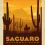 Saguaro National Park HD Wallpapers Nature Wallpaper Full