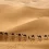 Sahara HD Wallpapers Nature Wallpaper Full