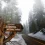 Sequoia National Park HD Wallpapers Nature Wallpaper Full