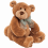 Brown Teddy Bear PNG Image - Vector photo