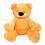 Teddy Bear PNG Image -Transparent photo
