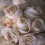 White Rose Wallpaper Full HD - Gulab