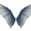 Colorful Angels Wings PNG - Transparent Photo