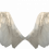 Bird (Angels) Wings PNG - Transparent Photo