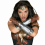 Wonder Woman PNG HD - Transparent Cartoon (7)