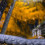 Yellow garden park natural CB Picsart Editing Background Full HD